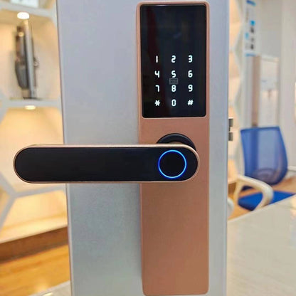 Smart Wooden Door Fingerprint Lock WiFi Password Access Door Intercom Security Handle